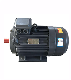 揚子自主研發(fā)銅制電機(jī)